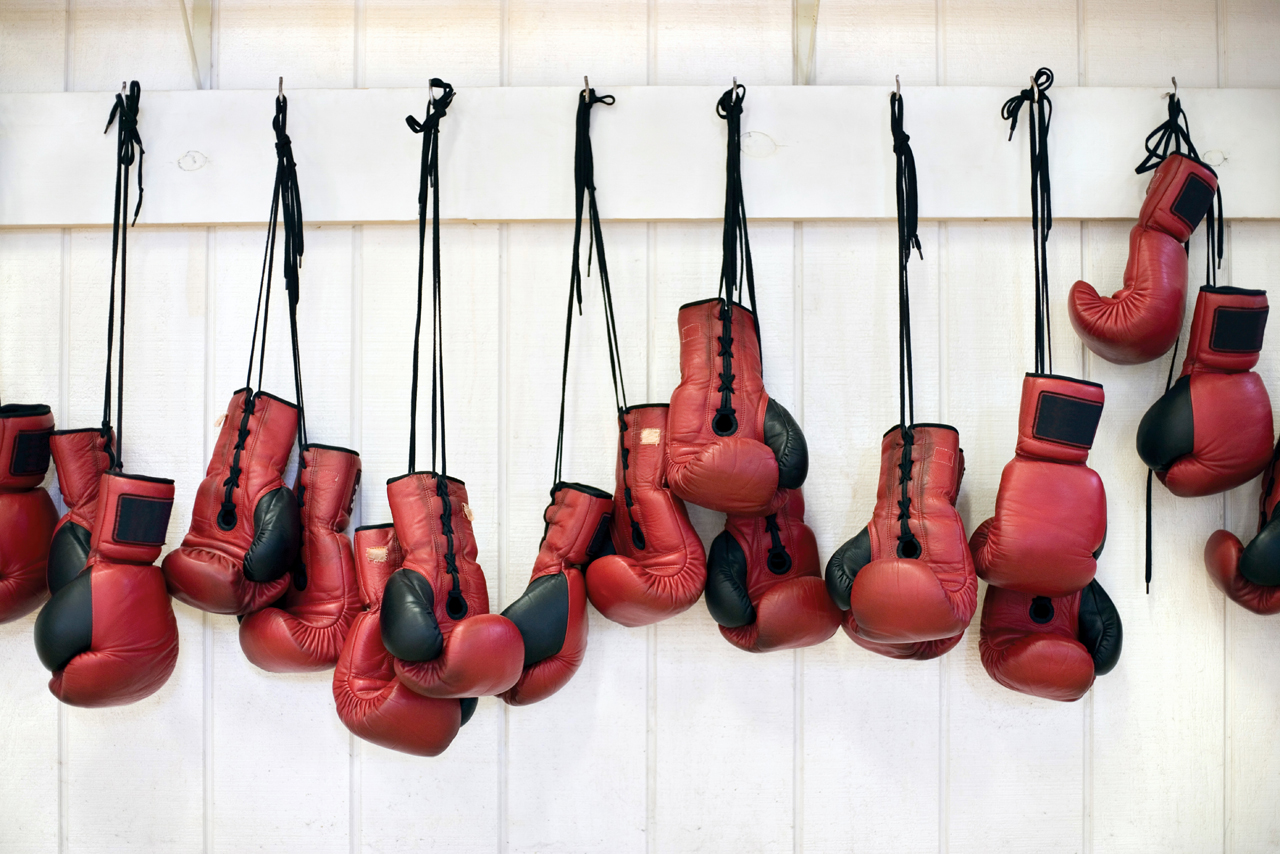 Red sparring gloves — Taekwon-Do training equipment